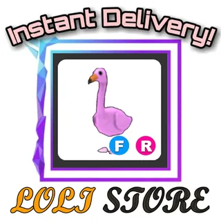FR FLAMINGO
