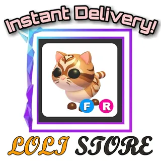 FR Catte 