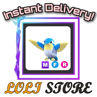 MFR Diamond Hummingbird