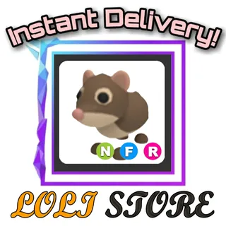 NFR Shrew