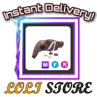 MFR Giant Anteater