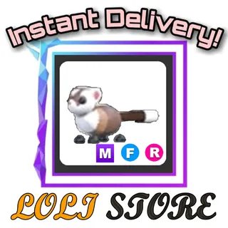 MFR Black-Footed Ferret