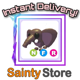 NFR BUSH ELEPHANT
