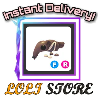 FR Giant Anteater