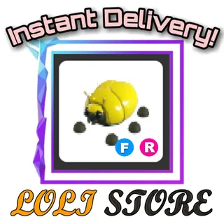FR Giant Gold Scarab