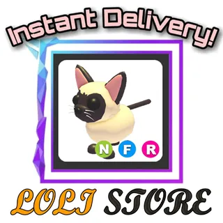 NFR SIAMESE CAT