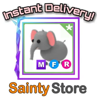 MFR Elephant