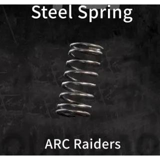 100×Steel spring