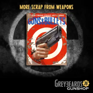 Aid | 250 Guns and Bullets 5