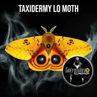 Taxidermy Lo Moth