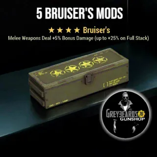 5 Bruisers Mods