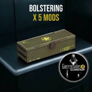 5 Bolstering Mods