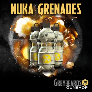 Weapon | 1k Nuka Grenades