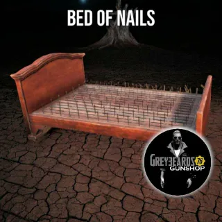 Bed Of Nails