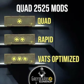 Q2525 Mods