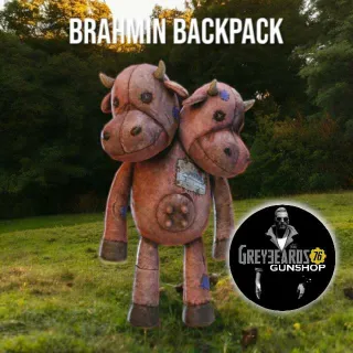 Brahmin Backpack