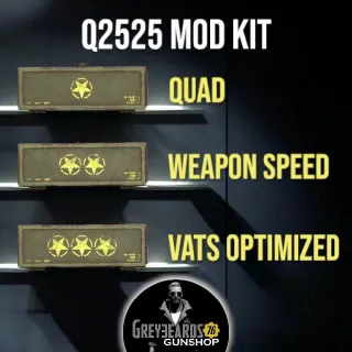 Q2525 Mods