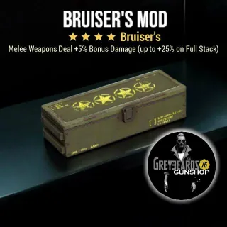 Bruisers Mod