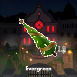 Evergreen