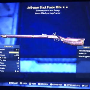 Weapon | AAE Black Powder Rifle