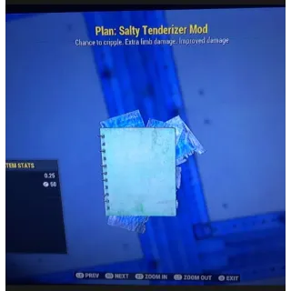Salty Tenderizer Mod
