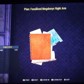 Fossilized Megalonyx Right Arm