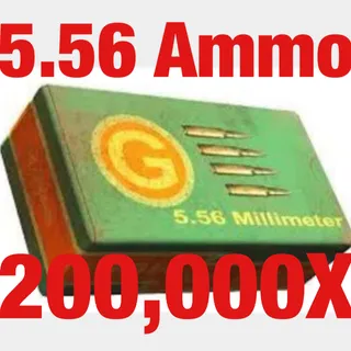 556 Ammo