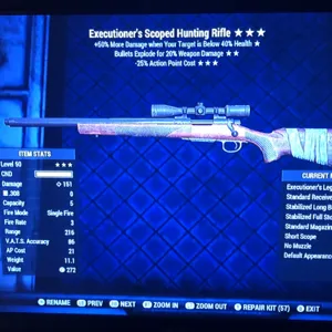 Weapon | EE25 Hunting Rifle