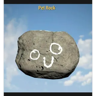 Pet Rock