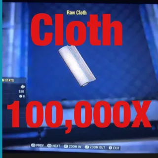 Cloth