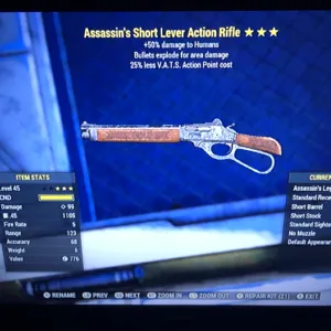 Weapon | AE25 Lever action Rifle