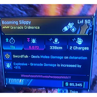 Borderlands 4 Grenade