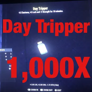 Day Tripper