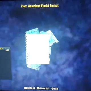 Wasteland Florist Sunhat 