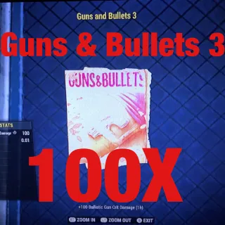 Guns and Bullets 3