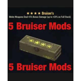 Bruiser Mod