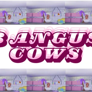 8x Angus cows