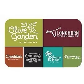 $100.00 Olive Garden egift card