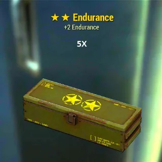 Mods: **Endurance 5X