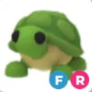 Fr Turtle