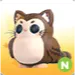 Purrowl N