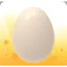 x100 Pet Egg