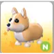 Corgi N