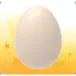 x75 Pet Egg