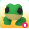 Frog R