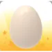 Pet Egg x100 