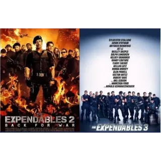 The Expendables 2 And The Expendables 3