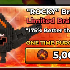 Rocky limited