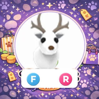 ARCTIC REINDEER FR
