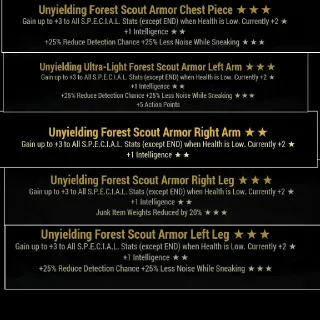 Uny/Int/ Forest Scout XP